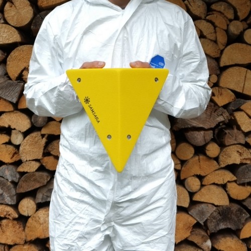 ��ǰ ������