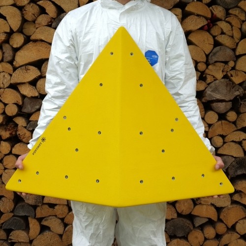 ��ǰ ������