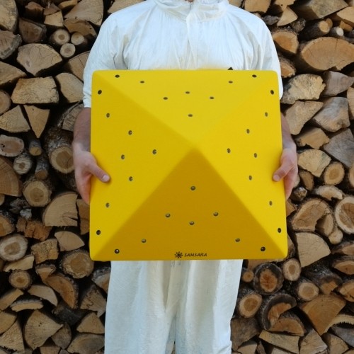 ��ǰ ������