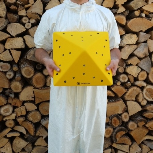 ��ǰ ������