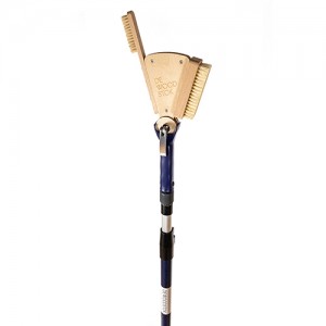 ��ǰ ������